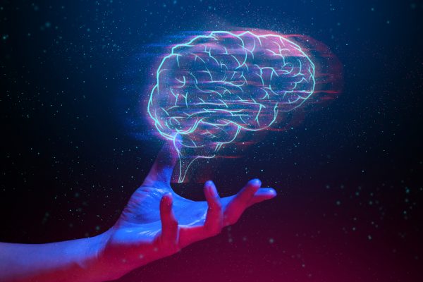 Ce prejudecăţi au oamenii în funcţie de gradul de inteligenţă